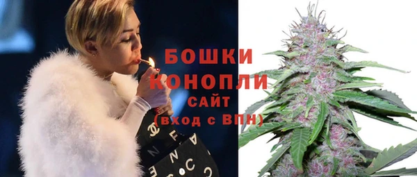 тгк Володарск