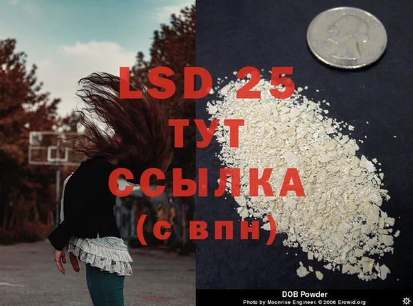 тгк Володарск