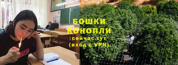 тгк Володарск