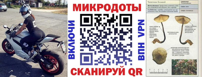 Купить где Лесной Псилоцибиновые грибы Psilocybe